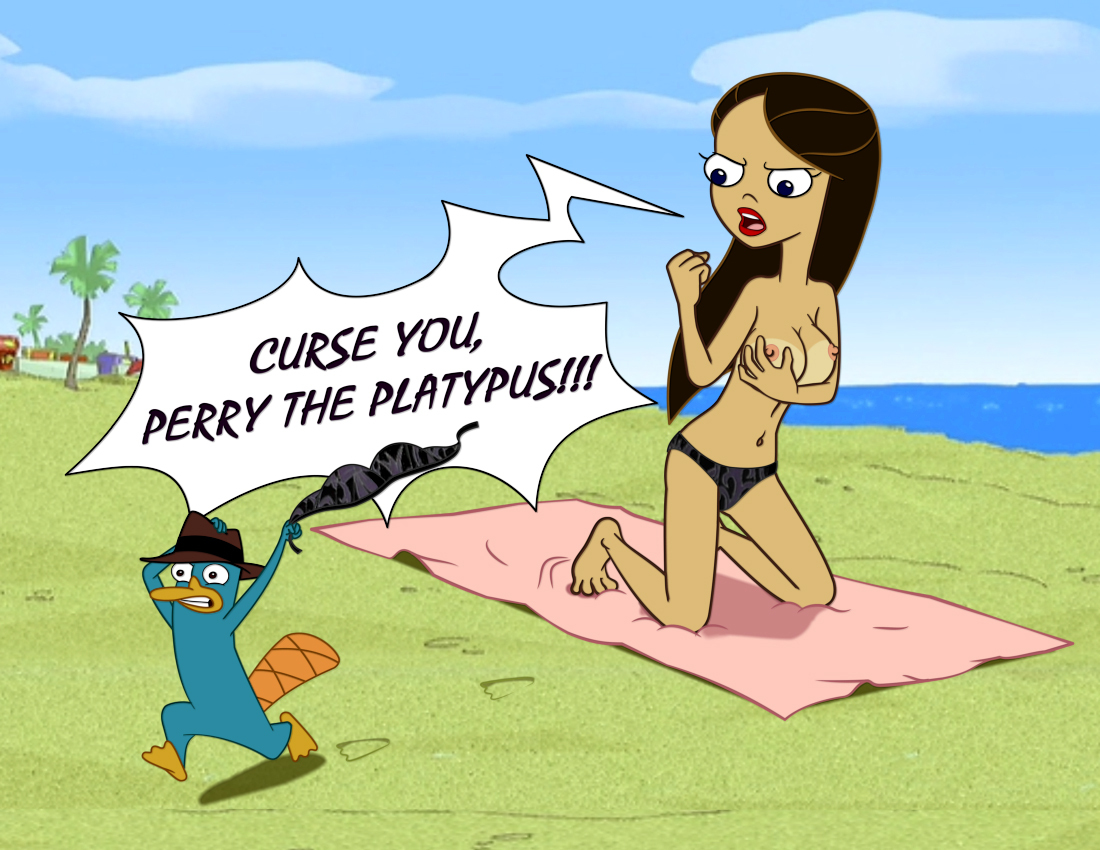 HE PERRY!!!!!!!!!! - Perry platypus, Beach, Girls, Hooliganism, Platypus, Pictures and photos, Picture with text, Images, Phineas and Ferb, NSFW