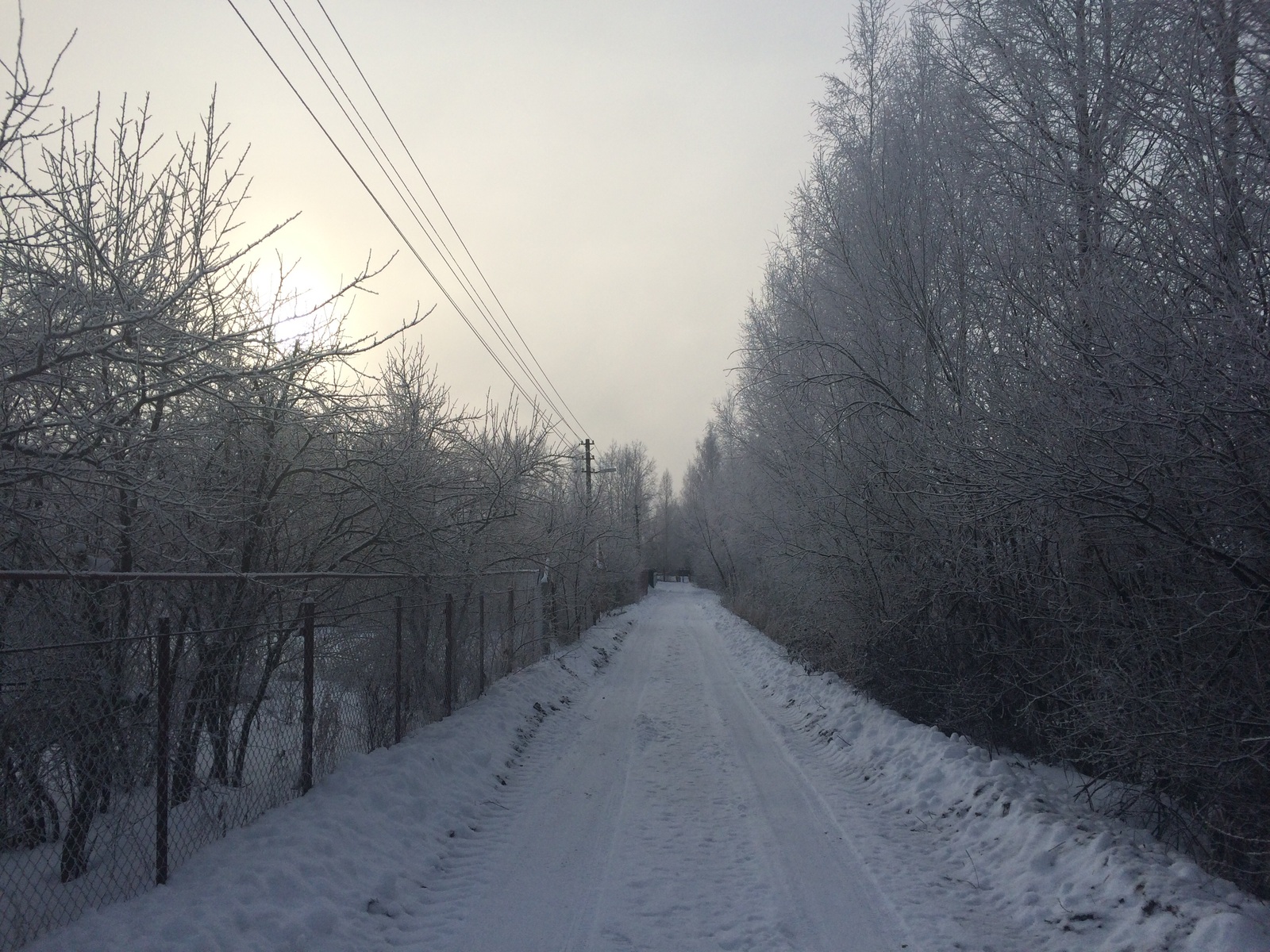 Morning at the cottage - My, Orekhovo-Zuevo, Morning, Dacha, beauty of nature, Nature