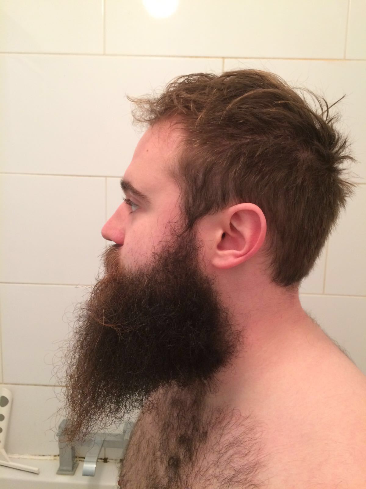 I grew a beard for exactly a year. - Beard, Varnish, It Was-It Was, Copy-paste, shaved off, Longpost