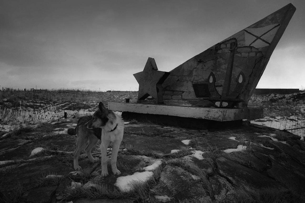 Зачем тащить на Курилы японцев, которые в парламенте объявили их своими рекомендации Зачем тащить на Курилы японцев, которые в парламенте объявили их своими советуем