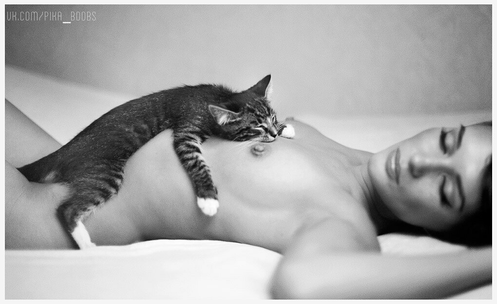 Good night friends) - NSFW, cat, Strawberry, Girls, Breast, Accordion, Babayan, Repeat