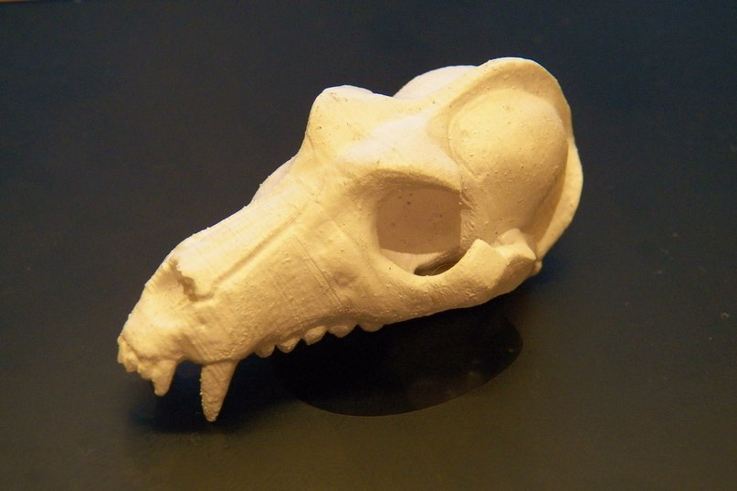 I continue the theme of 3D printing. - My, 3D печать, 3D printer, Scull