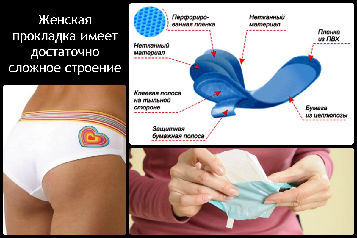 Дополнительный секс-просвет: Женские средства гигиены во время периода. - NSFW, Гигиена, Фигура, Здоровье, Женское здоровье, Менструальная чаша, Месячные, Длиннопост