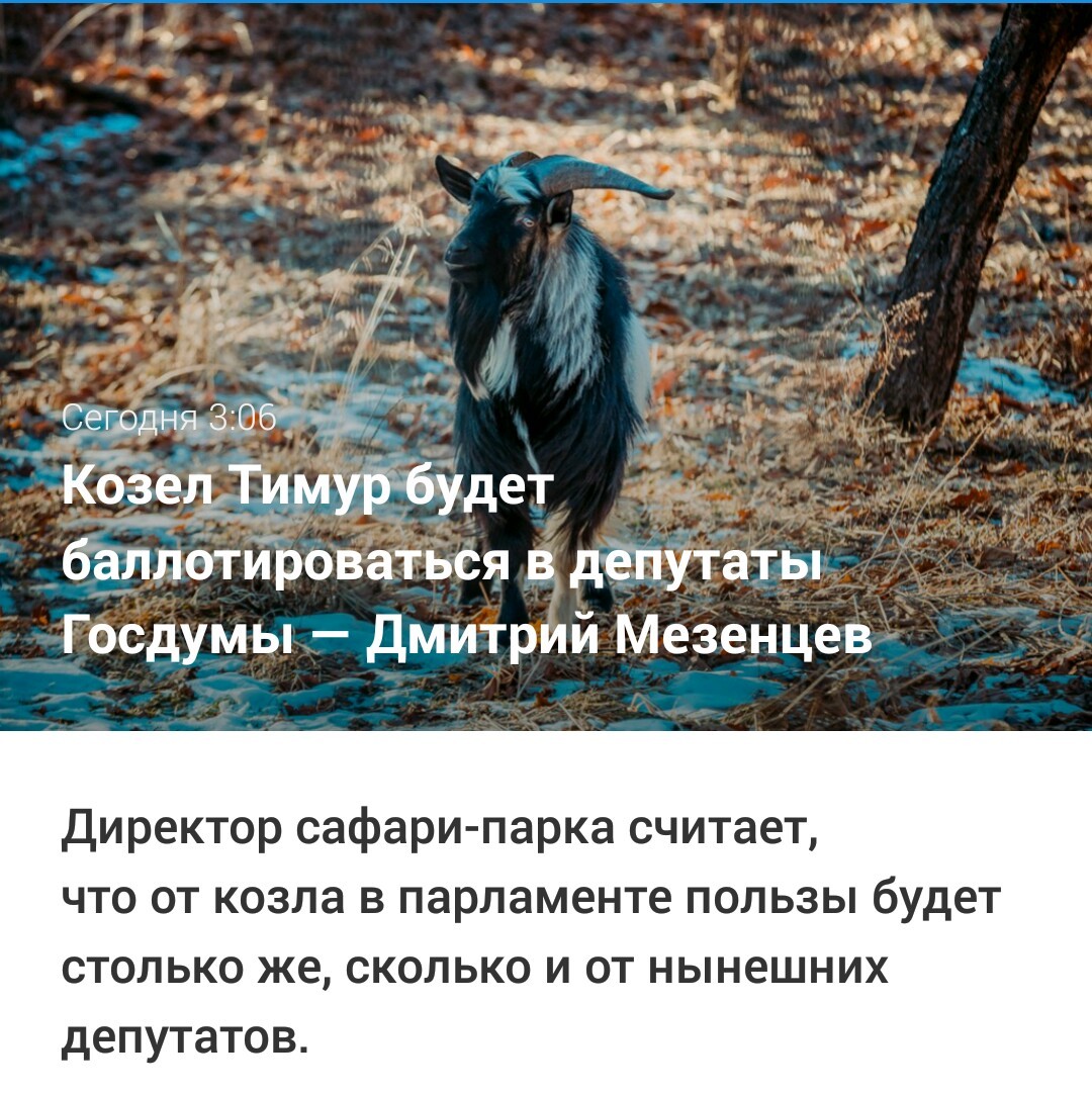 Козел отпущения фото