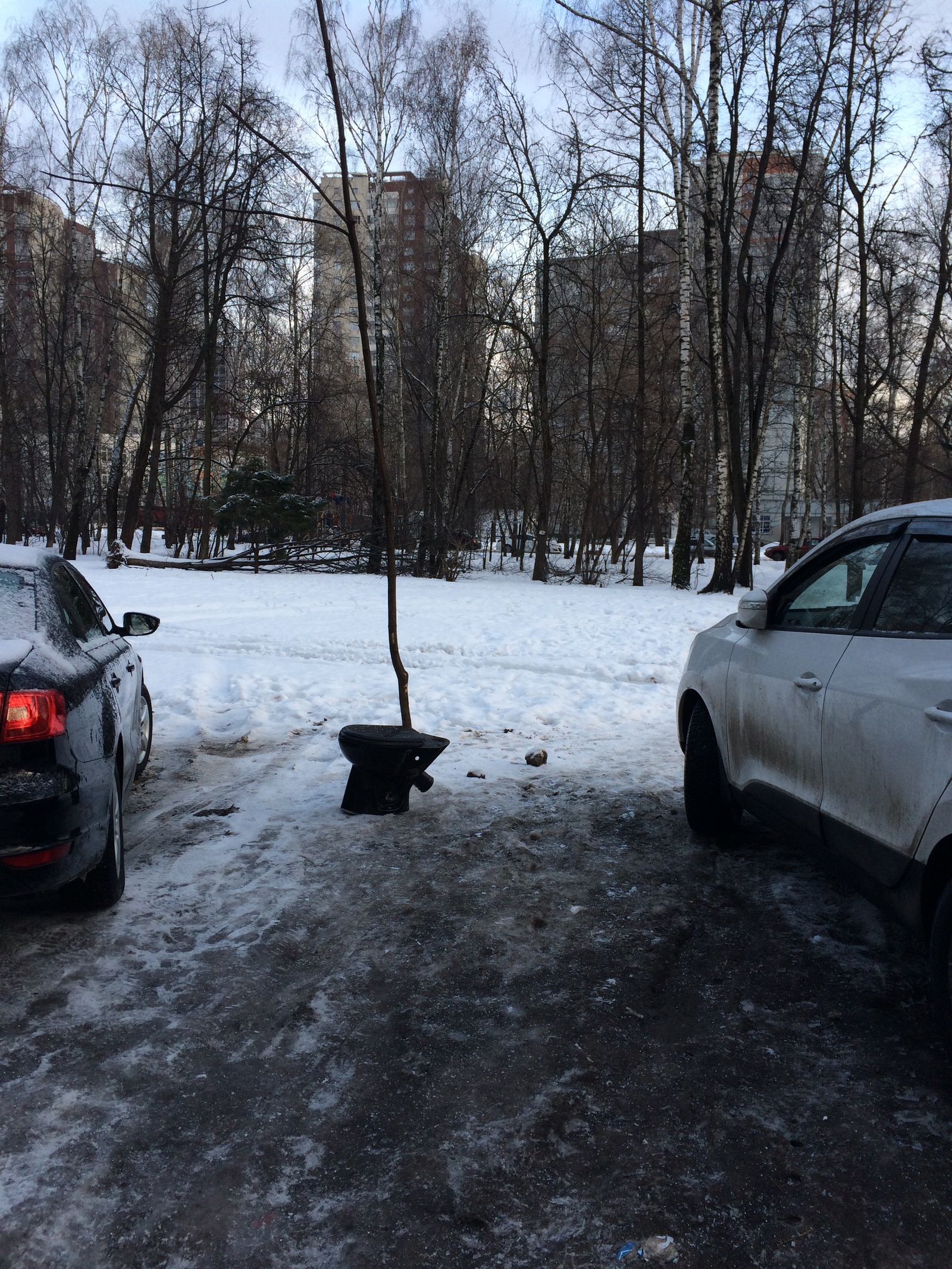 Бесплатная парковка | Пикабу