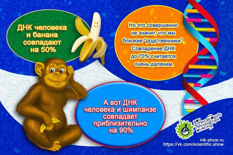 О Родстве Банана И Человека | Пикабу