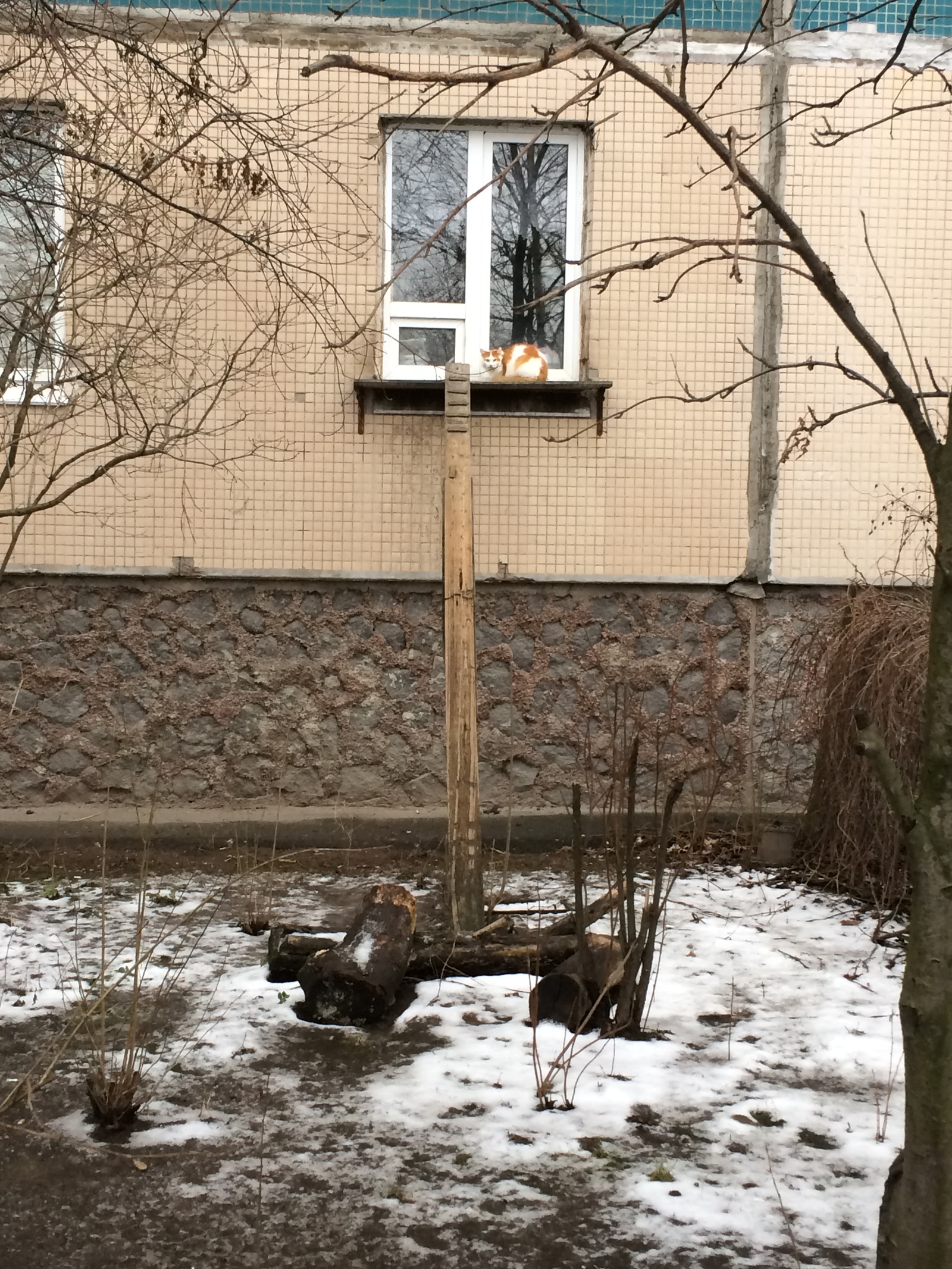 Забота | Пикабу