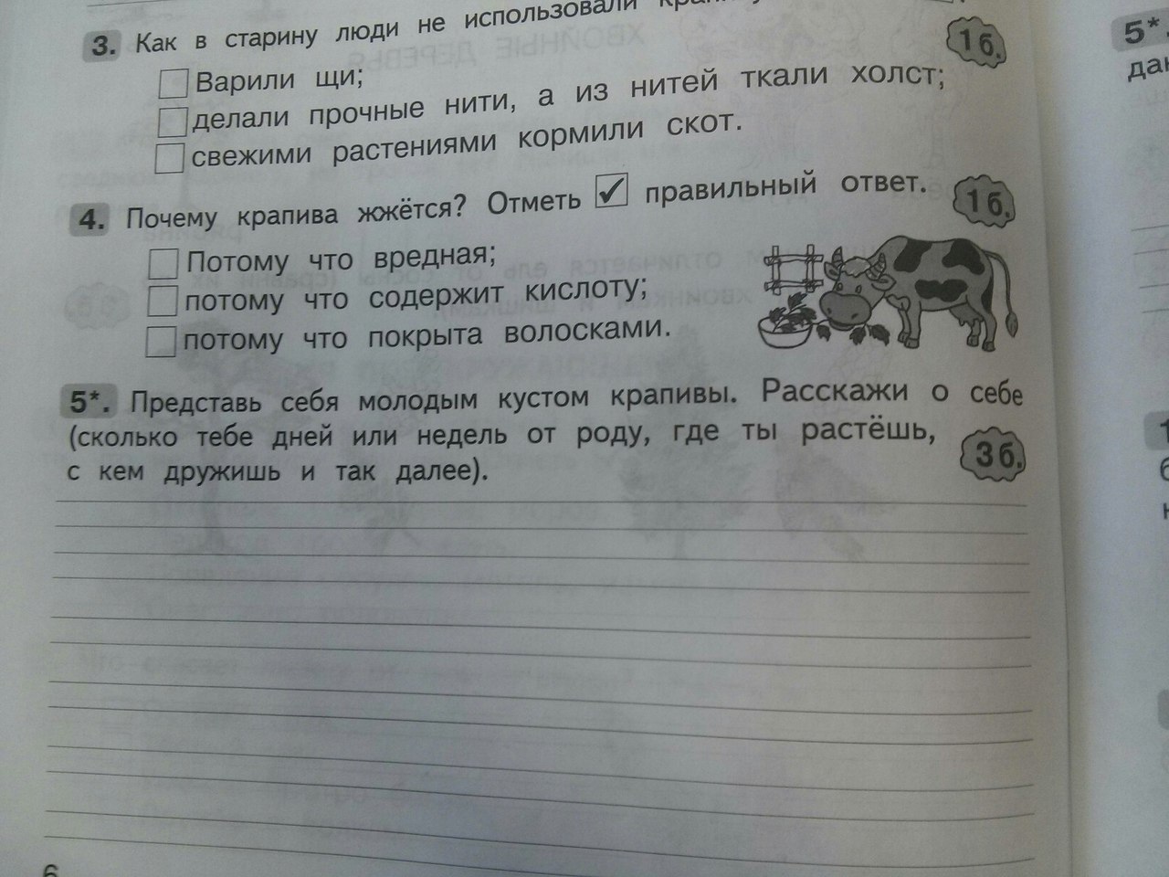 Ну они точно не крапиву курили. Задание. 2й класс. | Пикабу