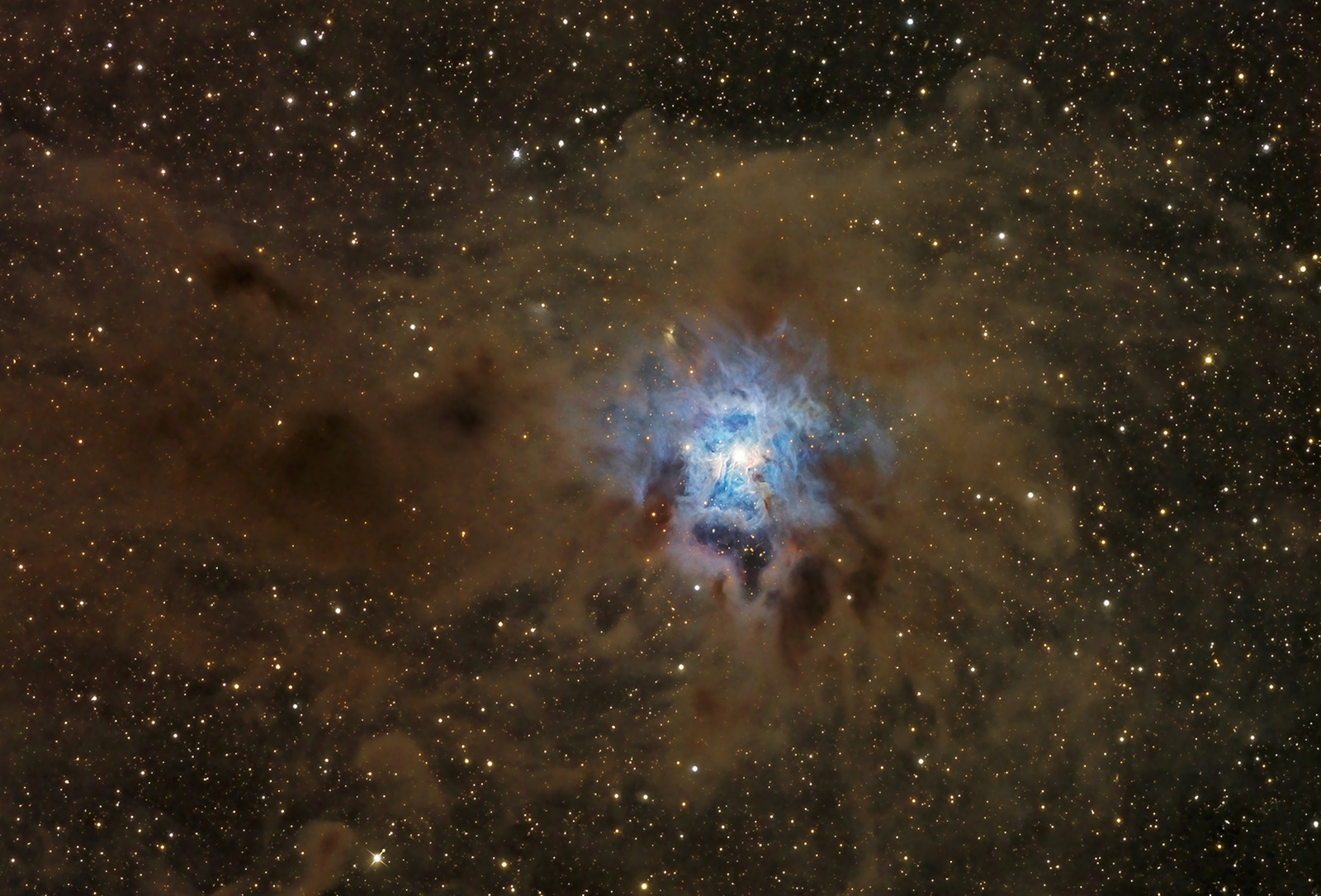 Nebula NGC 7023 Iris. - Nebula, Space, Stars, Photo, Longpost