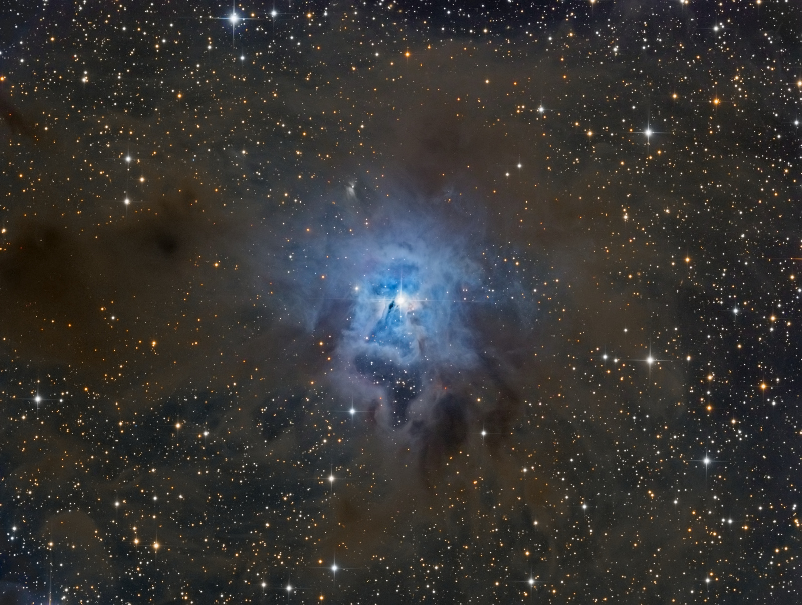 Nebula NGC 7023 Iris. - Nebula, Space, Stars, Photo, Longpost