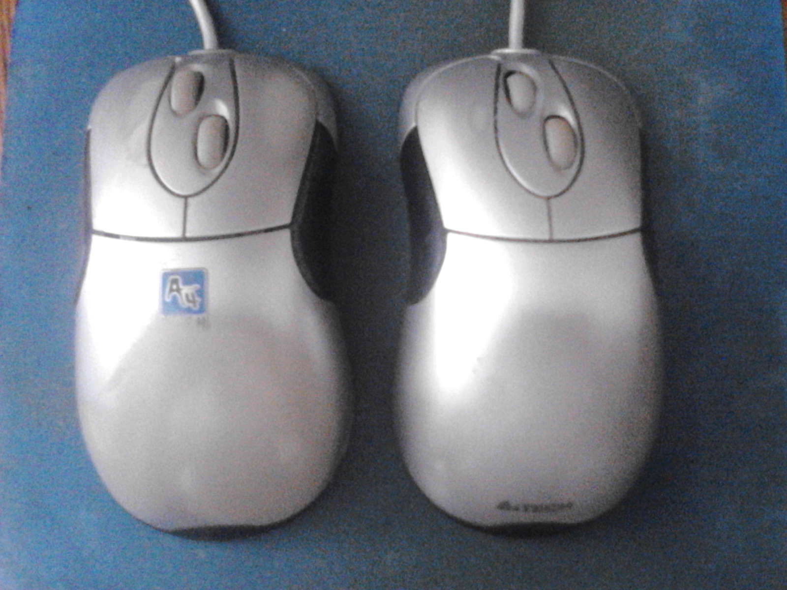 Мышки | Пикабу