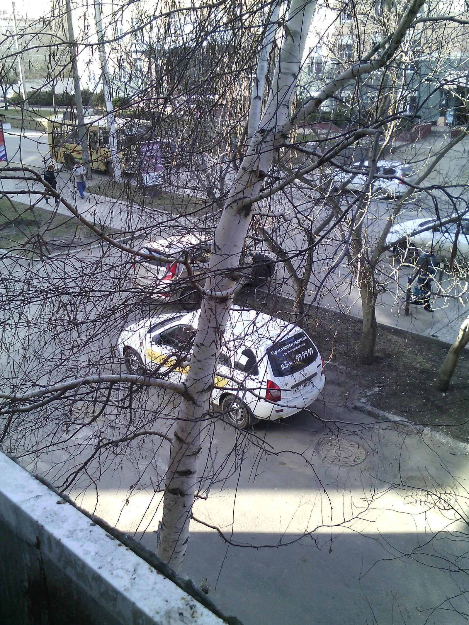 23 февраля под "стоны" такси Maxim | Пикабу