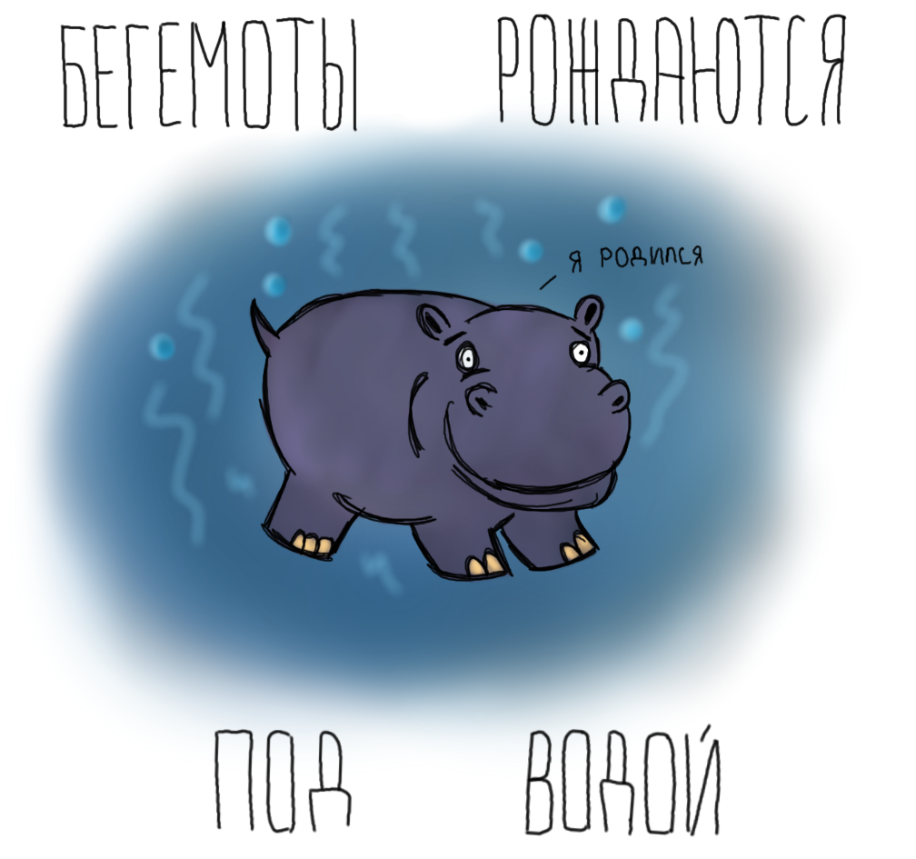 Шашлык из печени говядины рекомендуем Шашлык из печени говядины рекомендации