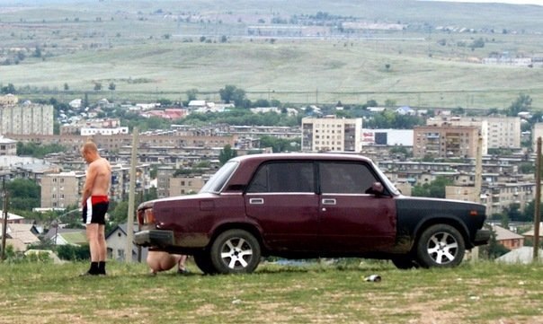 Guess the country from the photo) - NSFW, Russia, Cattle, Seven, Casting