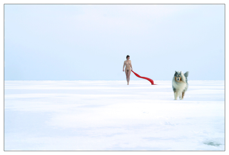 Minimalism - NSFW, Snow, Dog, Girls, Rag, Minimalism, Strawberry, Nothing extra