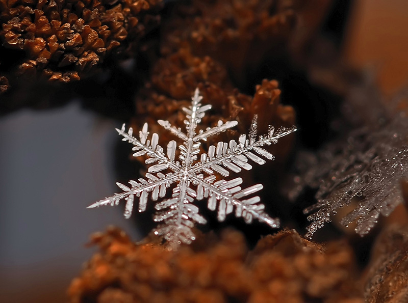 I bought a macro lens for my phone. Nokia n8/ 12mp. - Photo, Macro, Nokia, Snowflake, Macro photography