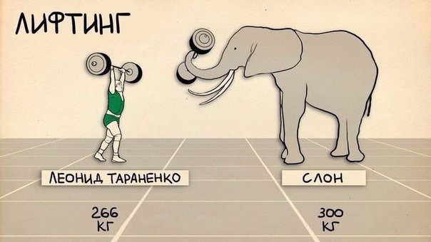 Интересные факты | Пикабу