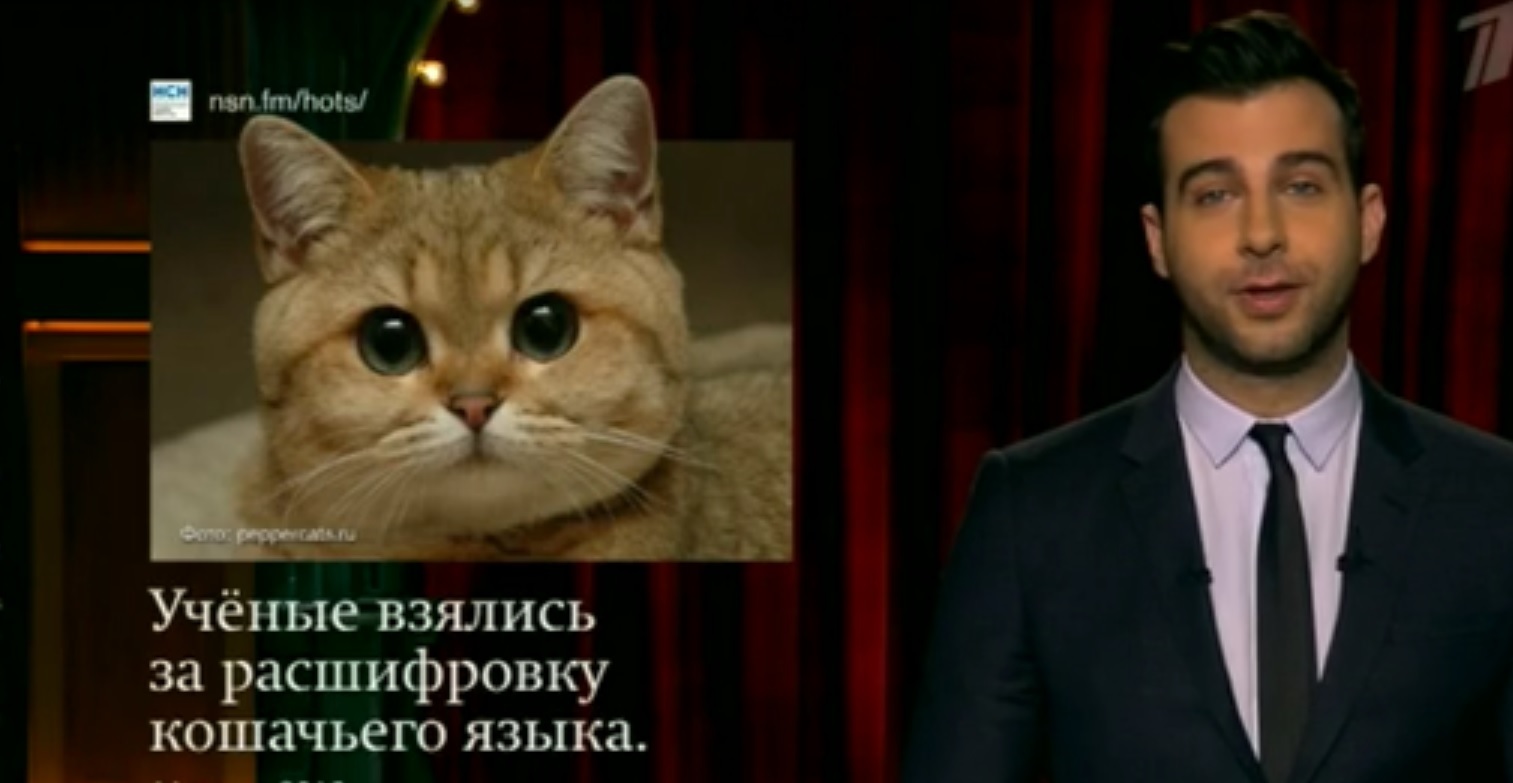 Ну наконец-то) | Пикабу