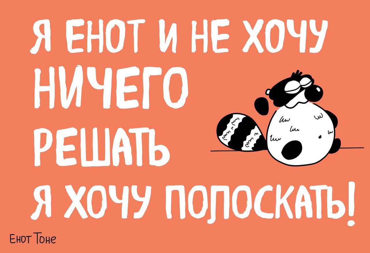 Про енотов | Пикабу