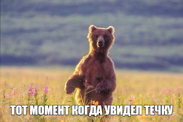 Весна | Пикабу