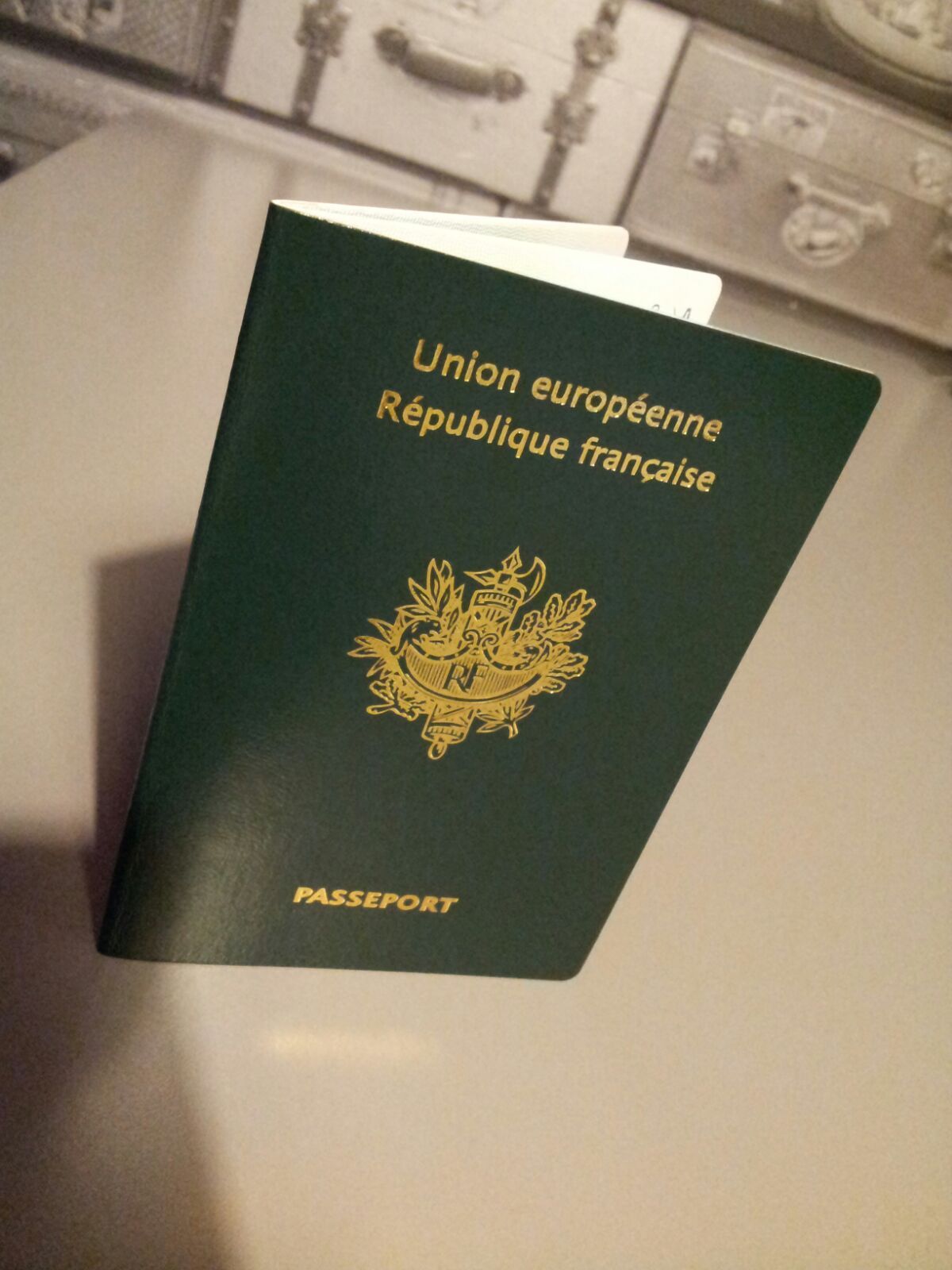 как выглядит французский паспорт