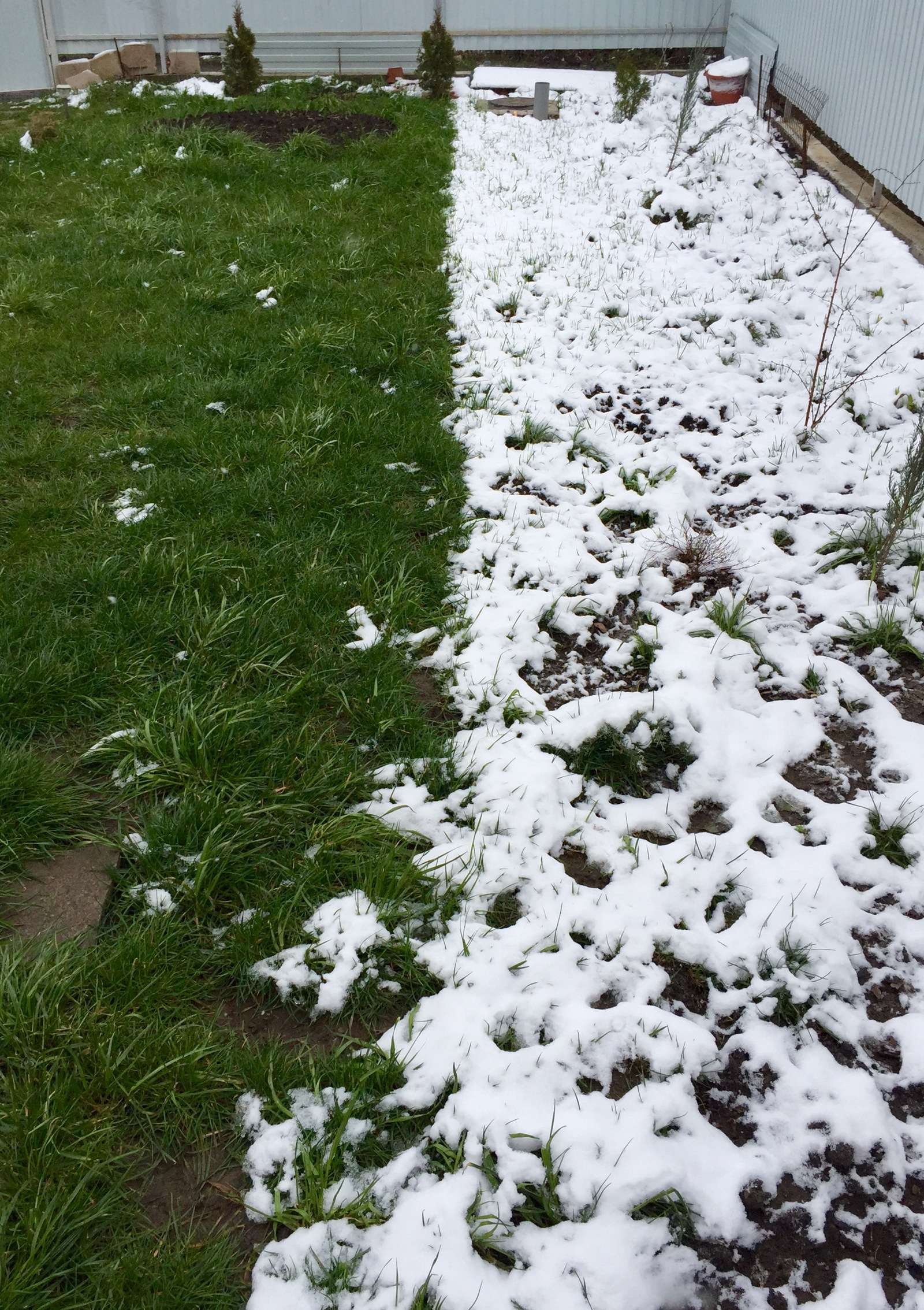 The snow remained where the shadow from the fence fell - My, Snow, Grass, Shadow