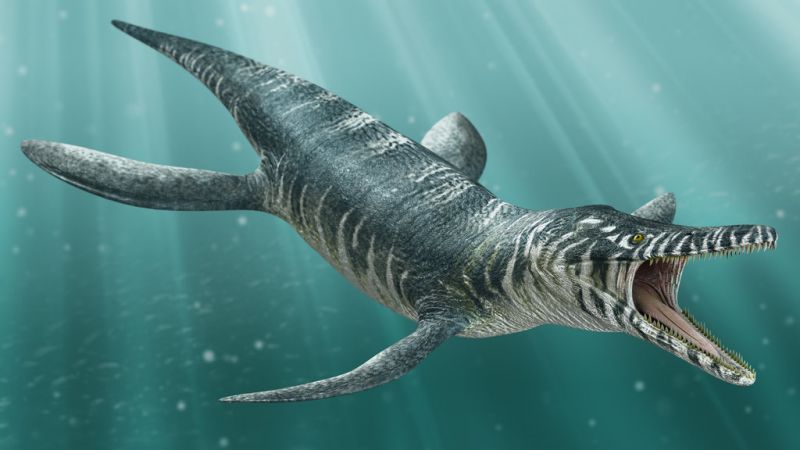 Кронозавр - Хордовые, Пресмыкающиеся, Plesiosauria, Pliosauroidea, Kronosaurus, Палеонтология, Доисторические животные, Мел