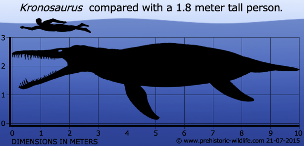 Кронозавр - Хордовые, Пресмыкающиеся, Plesiosauria, Pliosauroidea, Kronosaurus, Палеонтология, Доисторические животные, Мел