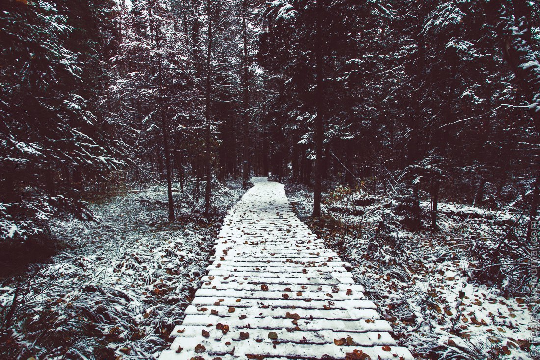 Krasnoyarsk Nature Reserve Pillars - Russia, Krasnoyarsk, Reserves and sanctuaries, Nature, Landscape, Photo, Longpost