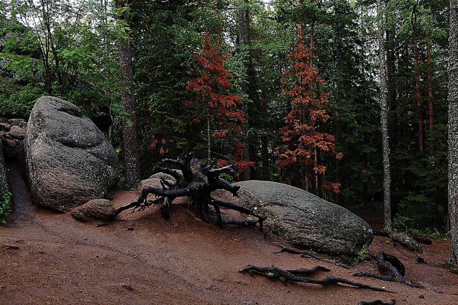 Krasnoyarsk Nature Reserve Pillars - Russia, Krasnoyarsk, Reserves and sanctuaries, Nature, Landscape, Photo, Longpost