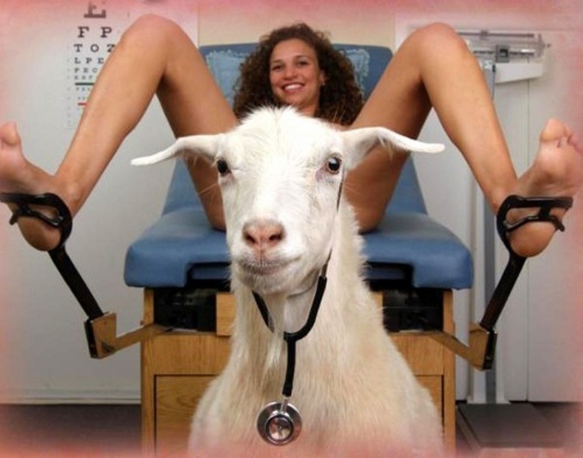 Universal doctor - NSFW, Goat, Doctor, Gynecological chair, Girls, Strawberry
