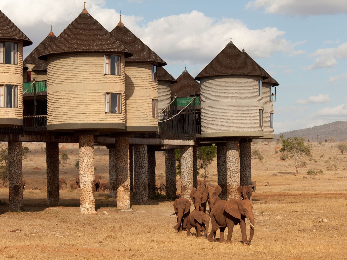 8 hotels where wild animals roam freely - Hotel, Wild animals, Travels, Safari, Longpost