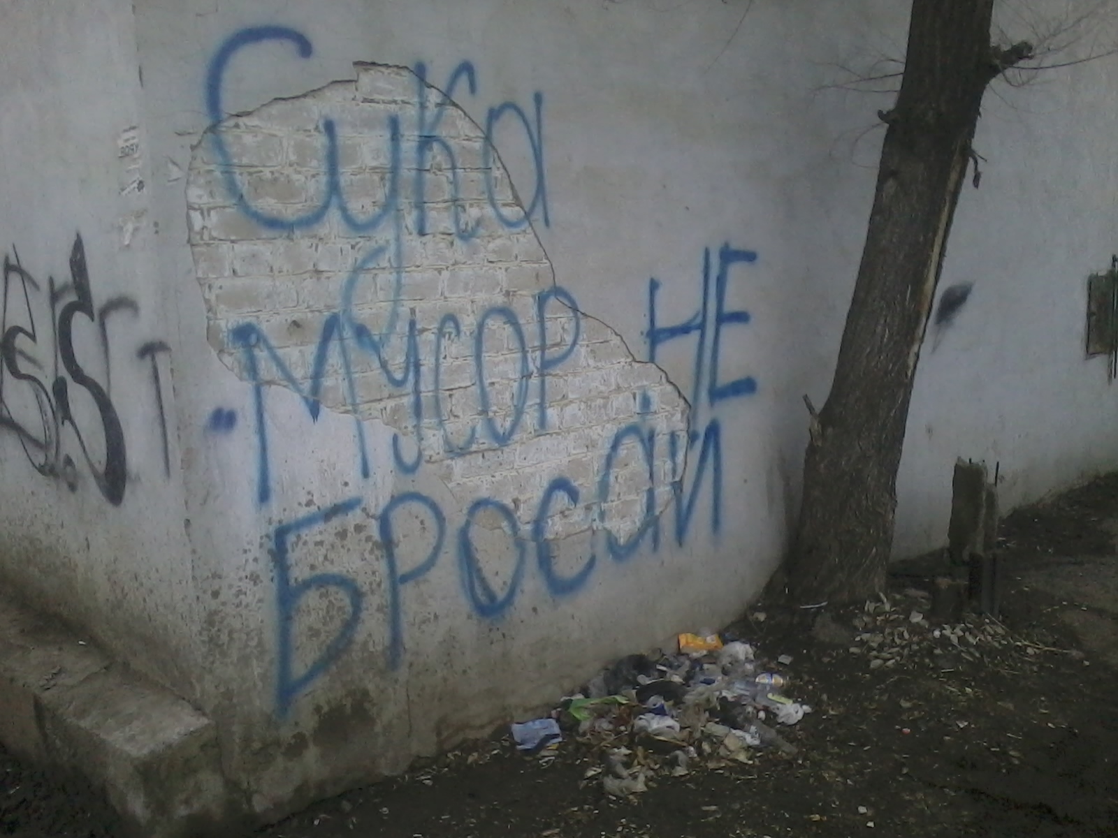Мусор не бросай! | Пикабу