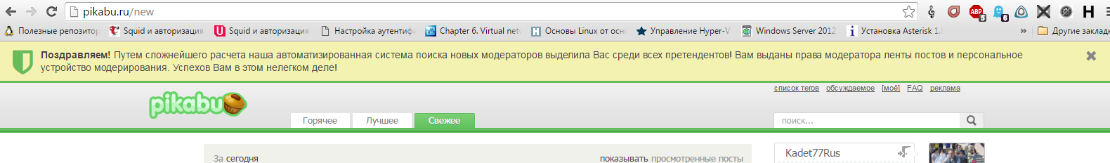 Что это? | Пикабу