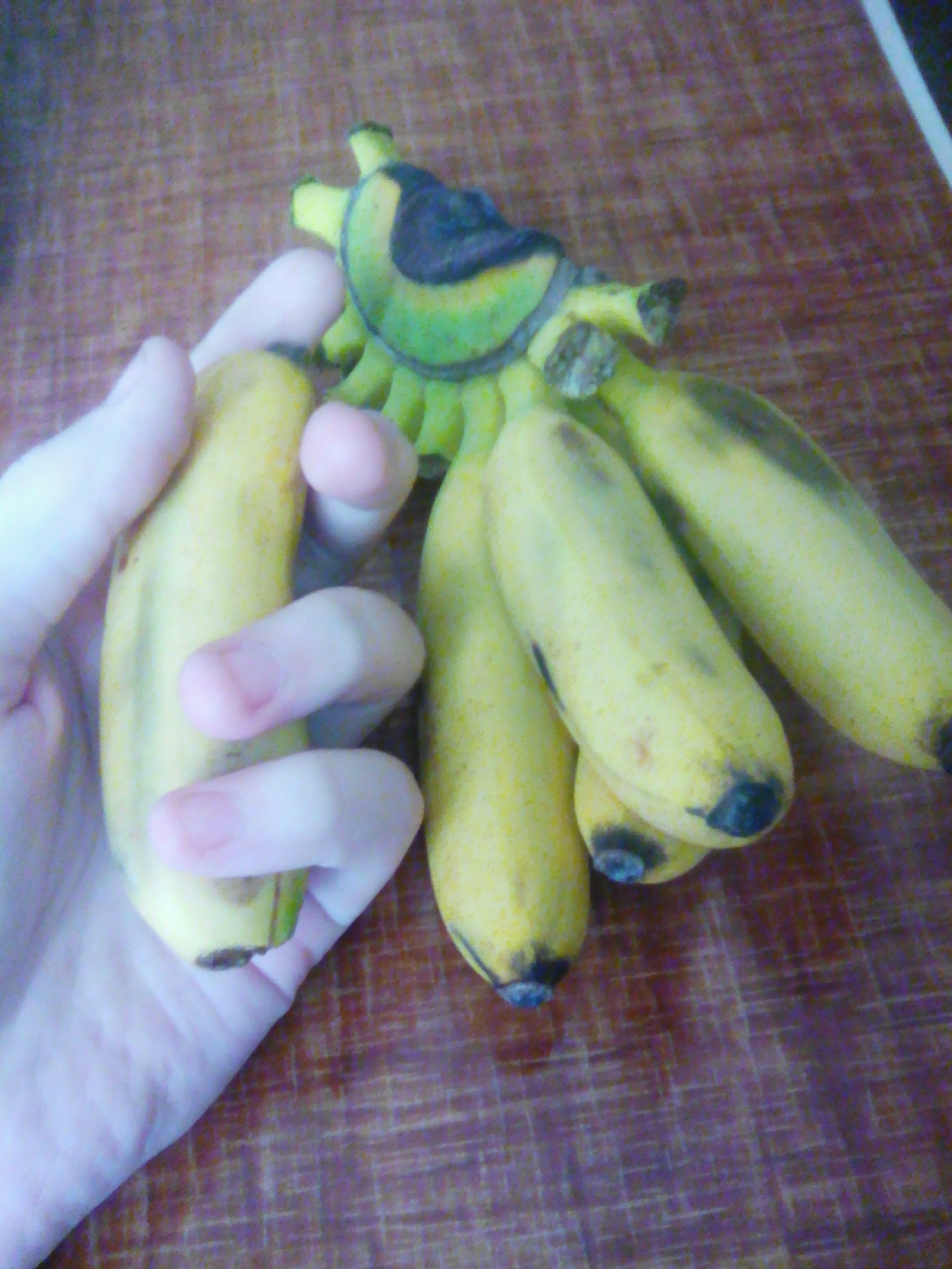 The banana is terrible. - My, Horror, Banana, Ripe, , Longpost