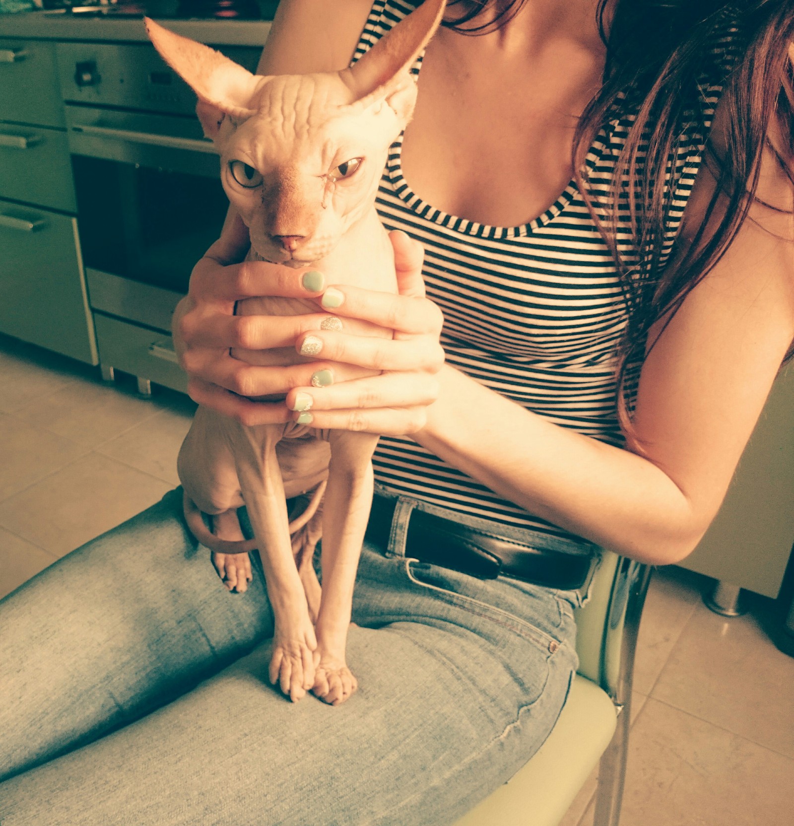 Говорят, здесь любят котиков | Пикабу