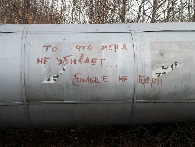 Что Меня Не Убивает. | Пикабу