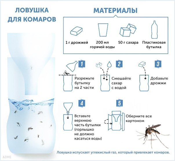 Ловушка для комаров | Пикабу