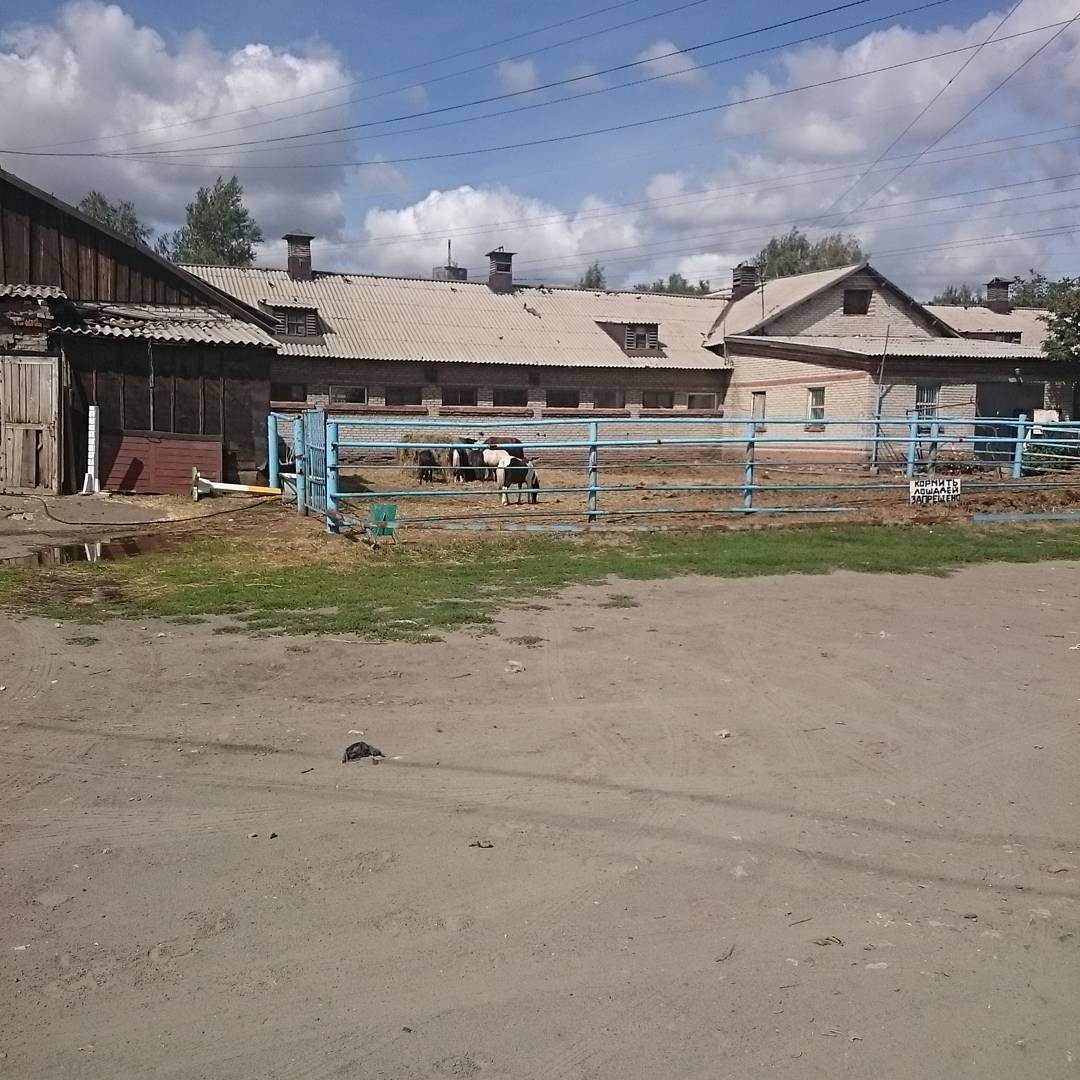 Барнаул | Пикабу