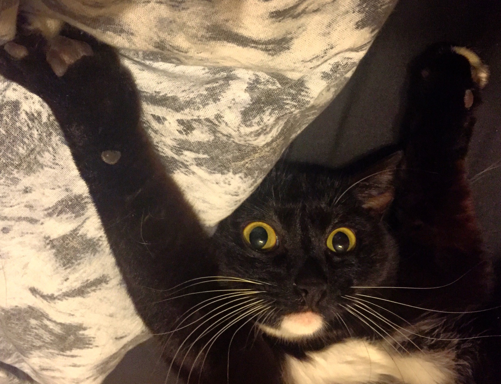 Весна - прекрасная пора | Пикабу