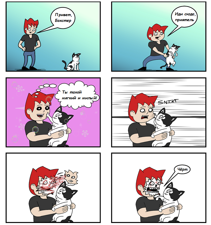 Коты | Пикабу