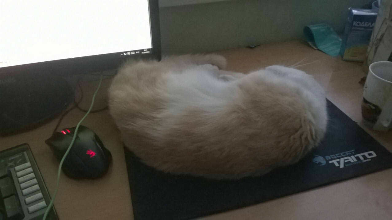 Sooqa | Пикабу