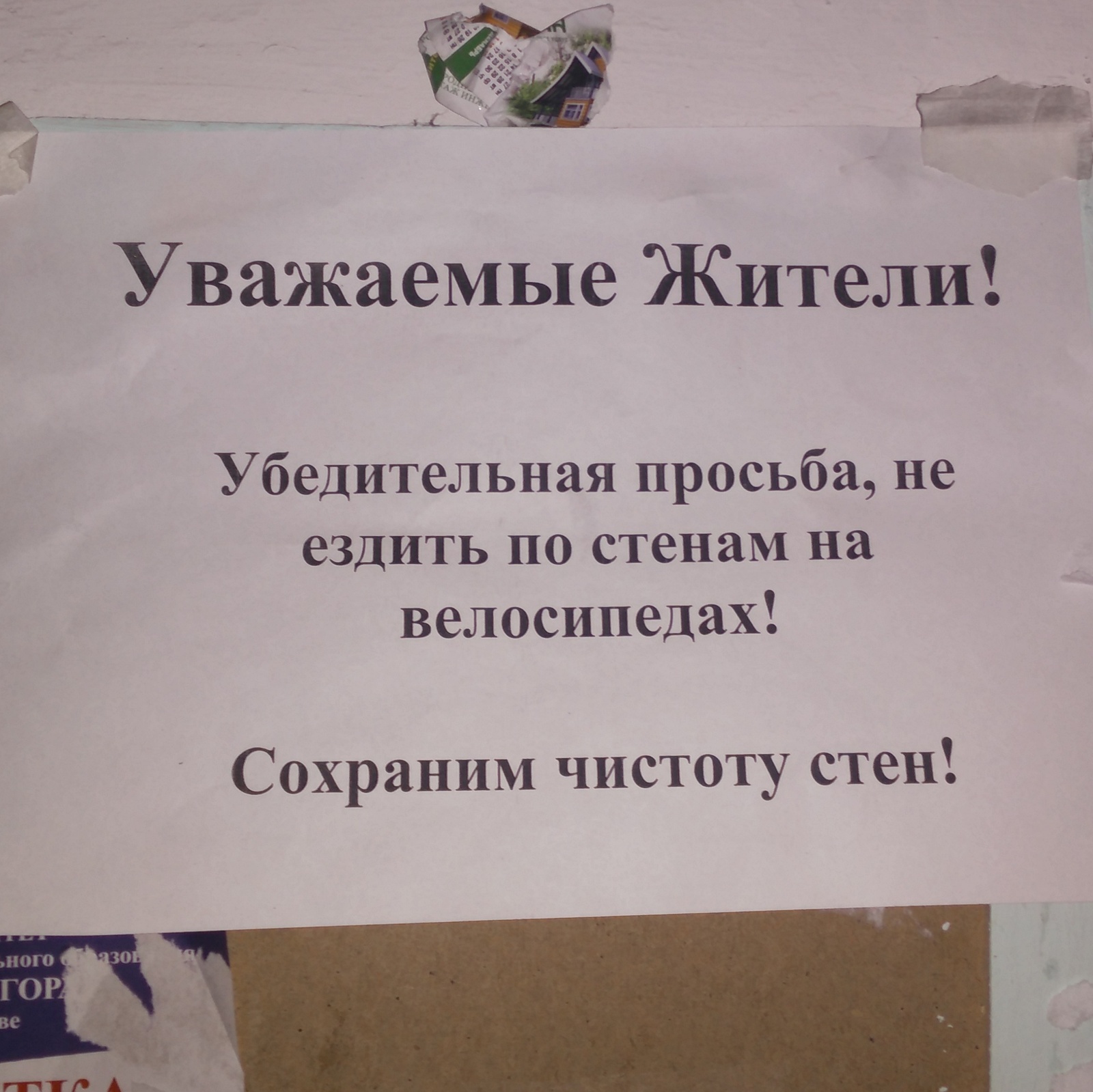 Внезапно в подъезде | Пикабу