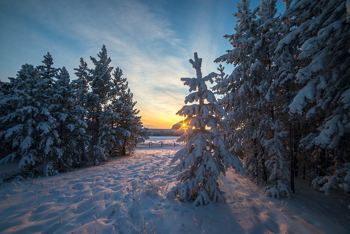 Красота Зимы Фото