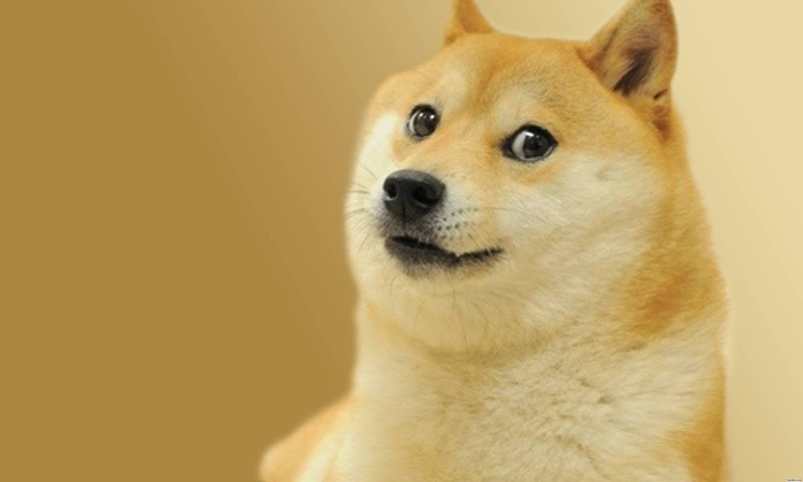 Chet is suspicious - My, Memes, Wow doge, Longpost, Doge