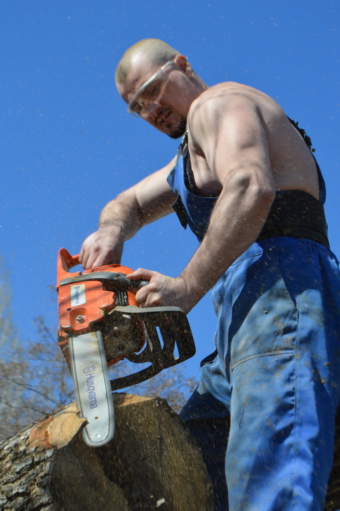 When a chainsaw brings a tree to life... - NSFW, My, Alexander Ivchenko, Chainsaw sculpture, Chainsaw, Video, Longpost