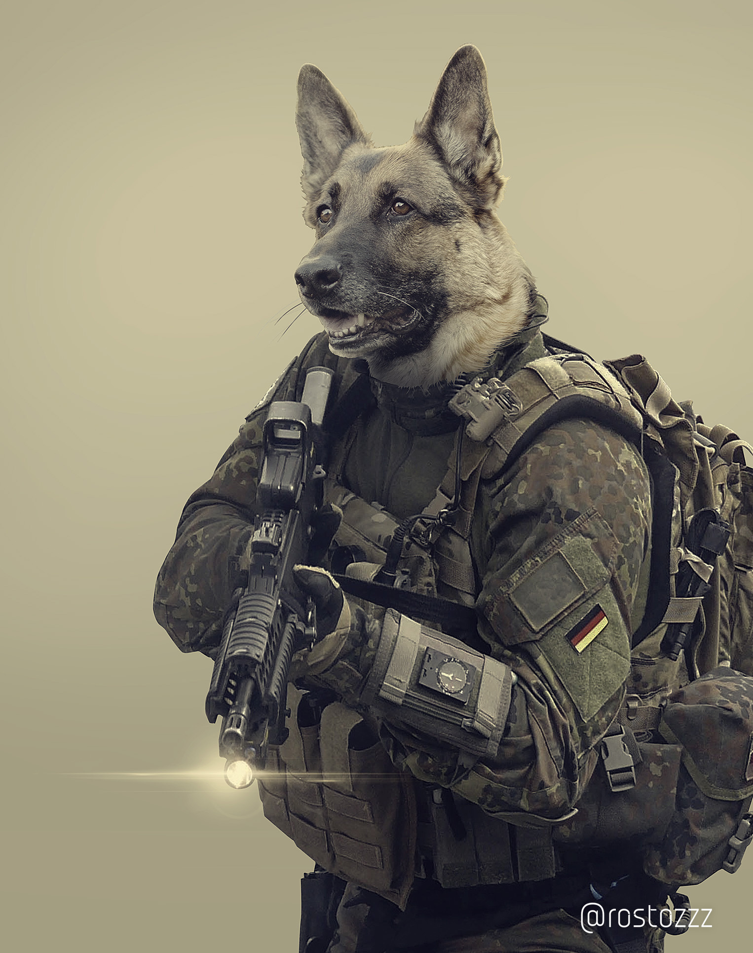 More Tactical Dogs | Пикабу