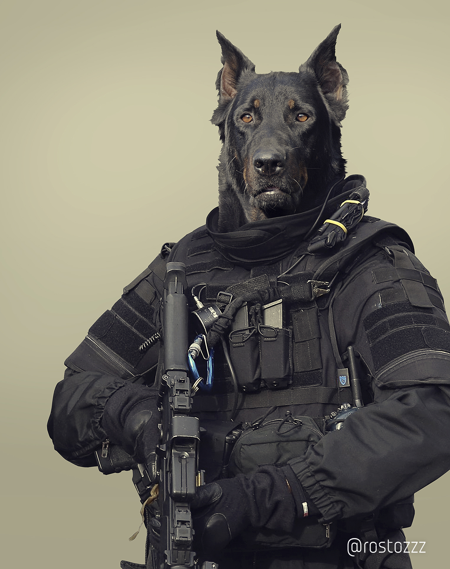 More Tactical Dogs | Пикабу