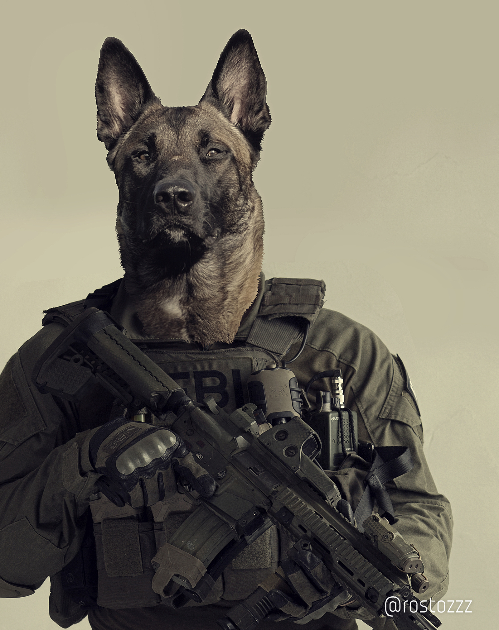 More Tactical Dogs | Пикабу