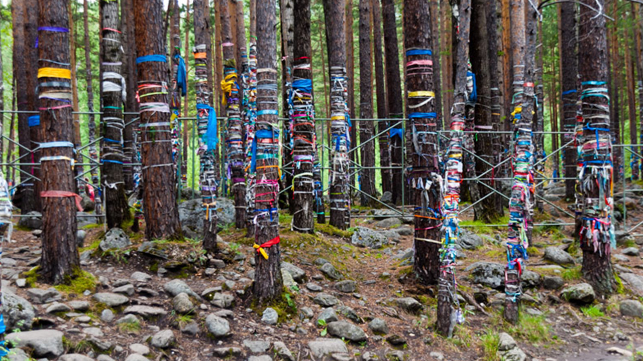 The Sacred Grove is a living temple, a symbol of the continuation of life, faith, truth, peace and goodness - Story, Facts, Sacred Groves, Longpost